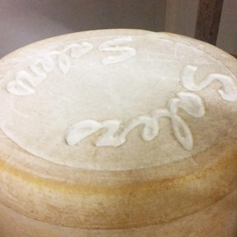 Salers Fermier